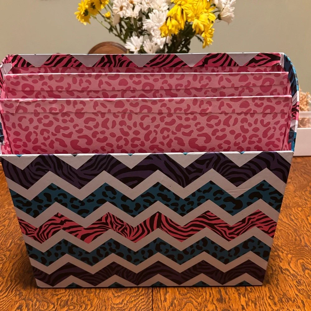 Zebra Print File Organizer